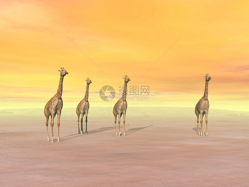沙漠中的法拉菲斯  三维化身插图阴霾场景天空阳光日出大草原土地日落风景图片