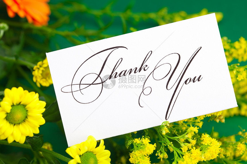 黄黄色的菊花 Gerbera和卡片签名 感谢您在绿色树干上场地写作回应叶子框架植物脚本洋甘菊笔记美丽图片
