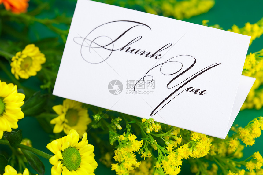 黄黄色的菊花 Gerbera和卡片签名 感谢您在绿色树干上笔记邀请函植物场地感激叶子玫瑰洋甘菊雏菊框架图片