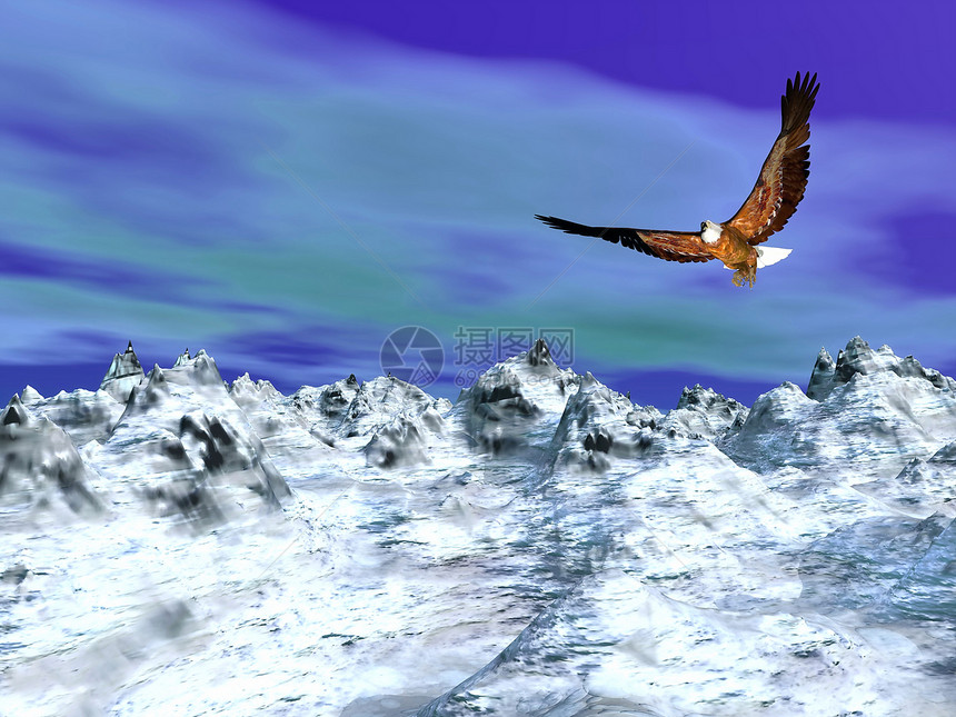 雪山上的老鹰 - 3D图片