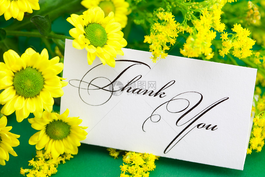 黄色菊花和卡片签名 谢谢您绿色背景叶子植物玫瑰洋甘菊感激邀请函框架雏菊写作回应图片