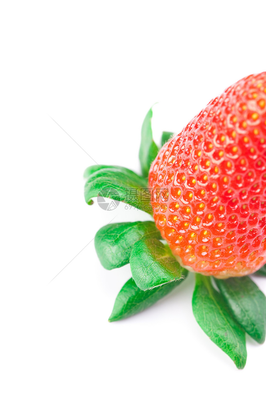 白边上被孤立的红莓草莓团体种子甜点宏观盘子美食食物生活叶子浆果图片