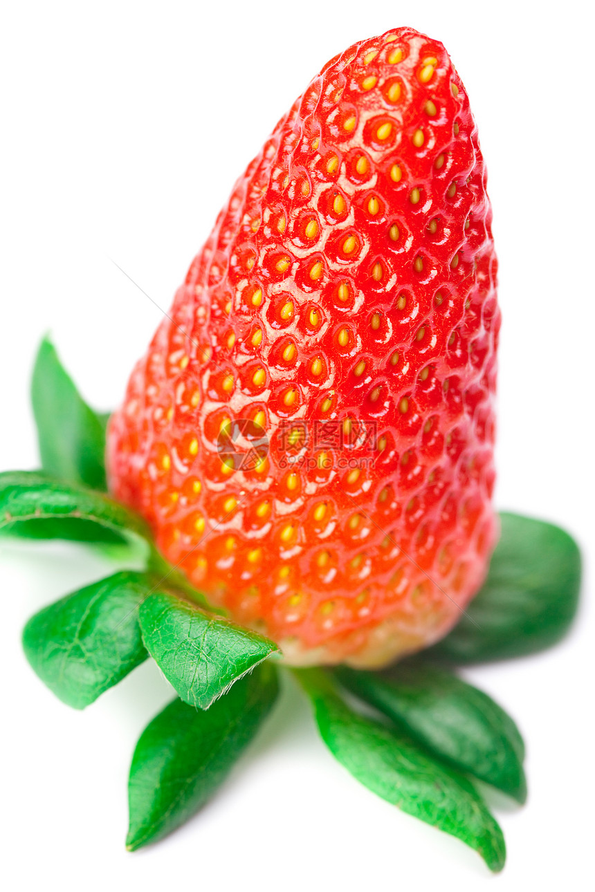 白边上被孤立的红莓草莓宏观营养甜点框架生活水果美食浆果种子早餐图片