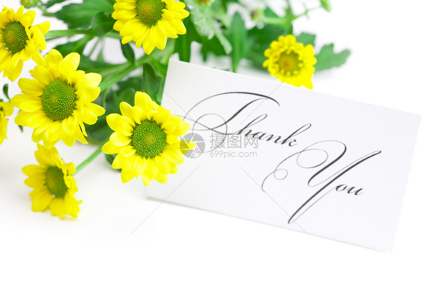 黄色的菊花和一张签名的卡片 感谢您在白色上被隔离墨水笔记礼物邀请函叶子感激植物洋甘菊回应脚本图片