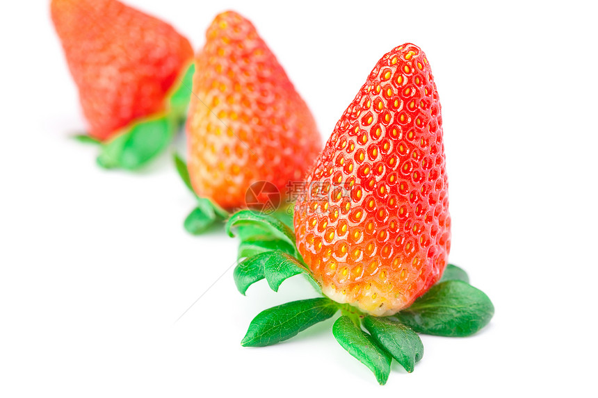 白边上被孤立的红莓草莓种子盘子生活早餐叶子框架甜点宏观美食营养图片