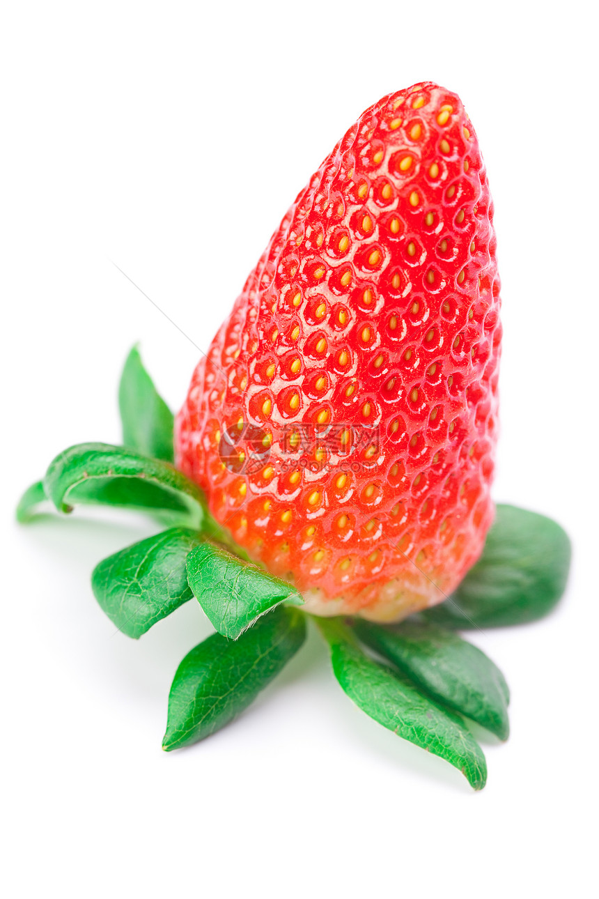 白边上被孤立的红莓草莓种子食物盘子早餐浆果美食水果营养团体宏观图片