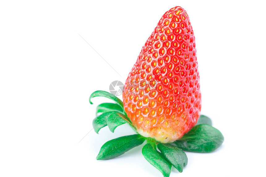 白边上被孤立的红莓草莓美食种子盘子营养宏观生活叶子甜点早餐浆果图片