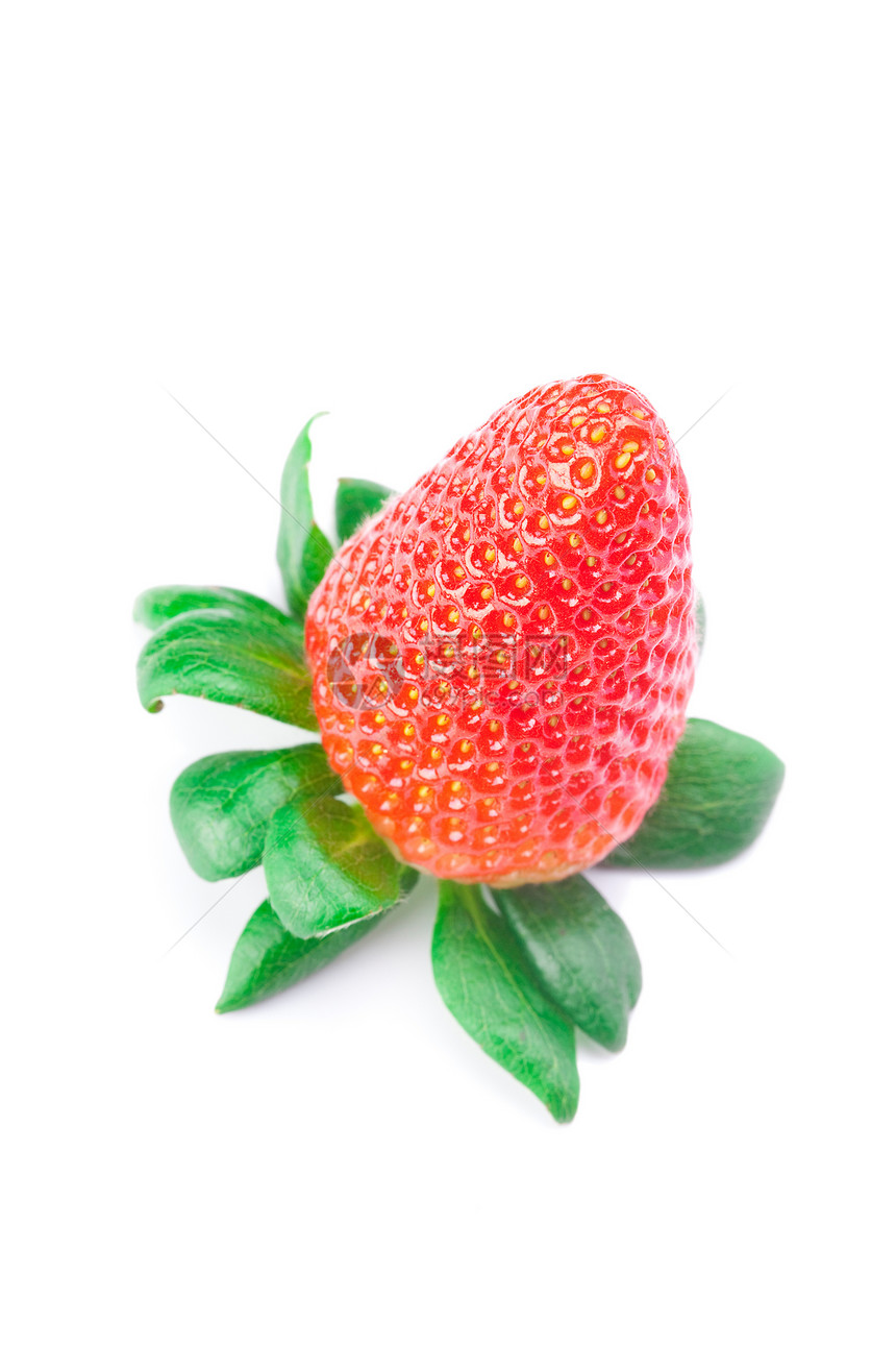 白边上被孤立的红莓草莓种子框架美食水果甜点早餐生活叶子盘子营养图片