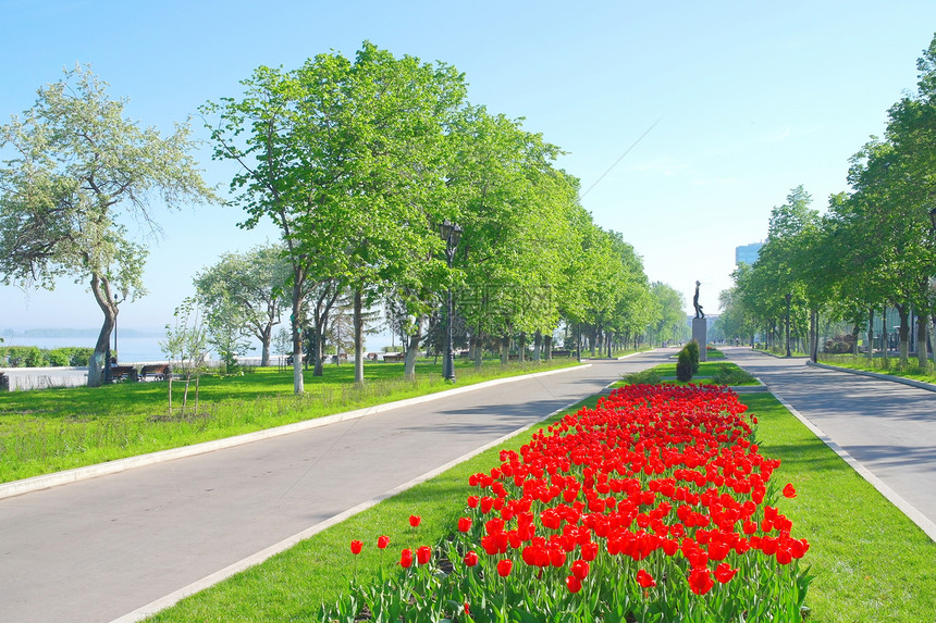 萨马拉市伏尔加河之奎的景象树木火炬城市花园公园草地花朵人行道阳光蓝色图片