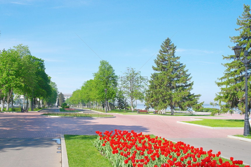 萨马拉市的奎恩风景植物郁金香草地蓝色树木人行道火炬公园花朵阳光图片