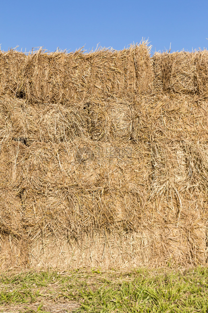 田里有干草丛店铺风景农场国家麦片植物收获食物大麦场地图片