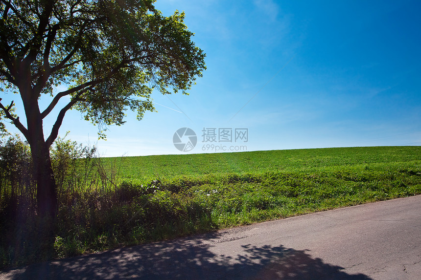 和有树木的山岳 在苍蓝的天边场景美丽草地蓝色土地牧场天气晴天全景车道图片