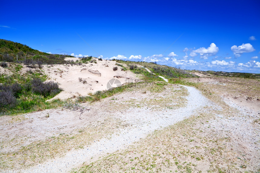 蓝色天空沙丘中的沙丘路径图片