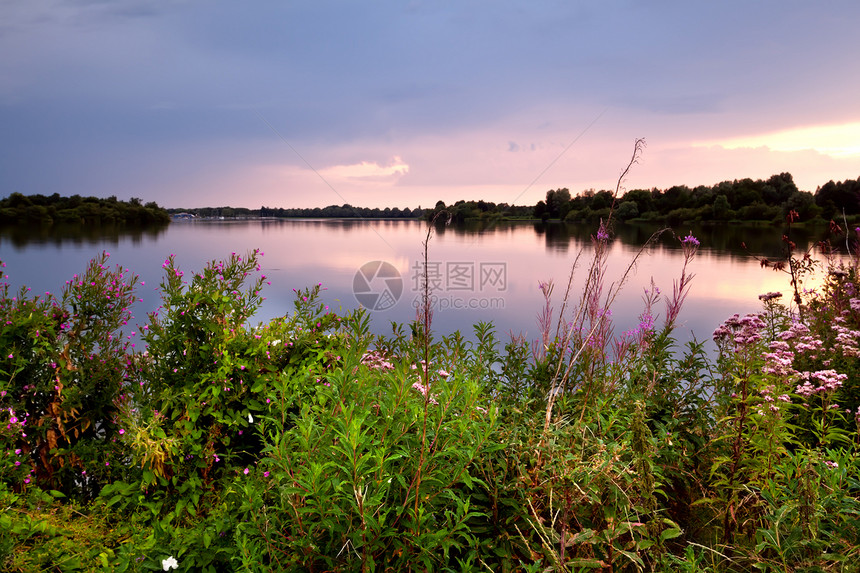 日落时湖边的夏季野花图片