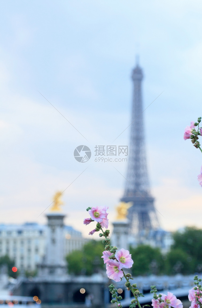 巴黎的春天埃菲尔塔历史性首都天空假期纪念碑地标吸引力国家城市旅行图片
