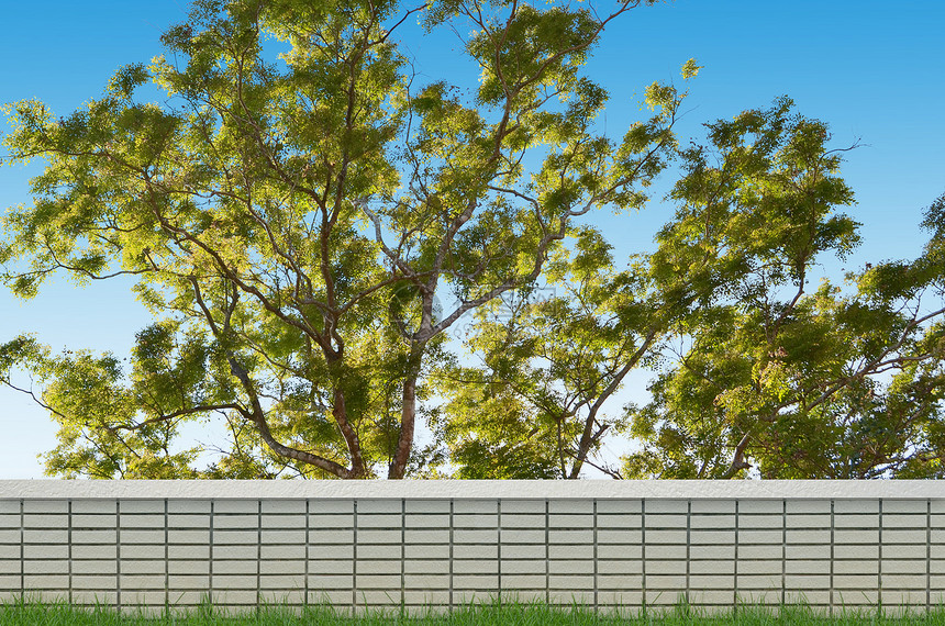 砖栅栏和大树背景图片