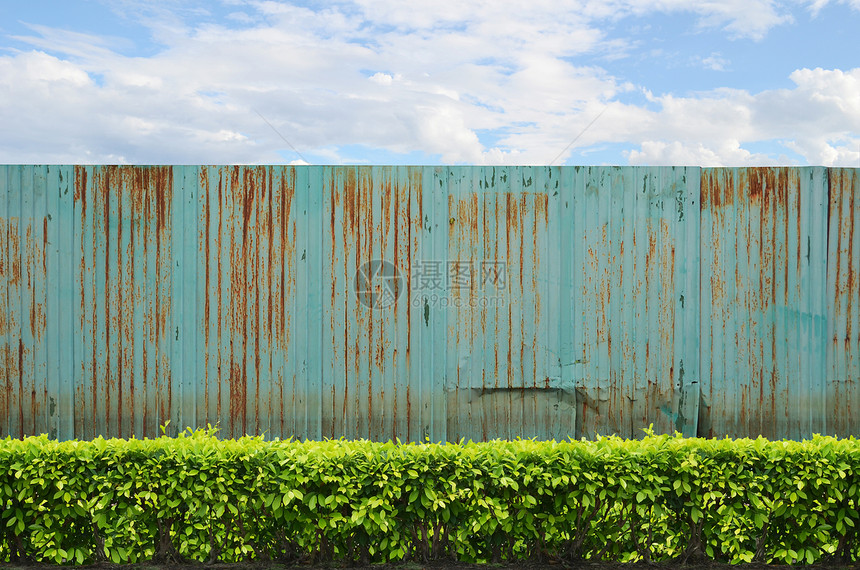 蓝天背景下有锌栅栏的灌木技术瓦楞衬套叶子红色天空建筑学树篱金属工业图片