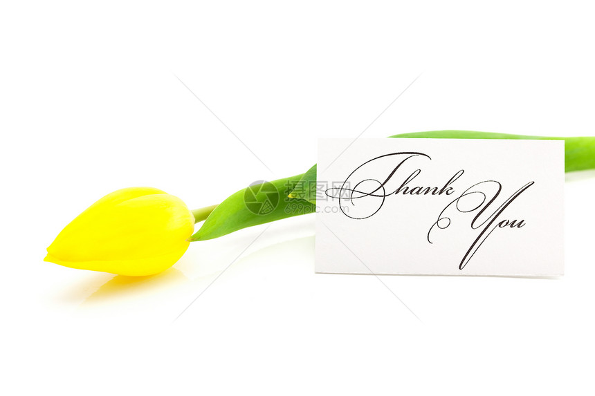 色彩多彩的郁金香和一张签名的卡片 谢谢您在白色上被孤立墨水回应感激植物笔记社会礼物问候语叶子脚本图片