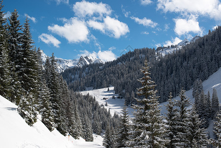 亚州人Montafon滑雪山谷运动旅行旅游游客活动全景景观松树地质学蓝色背景