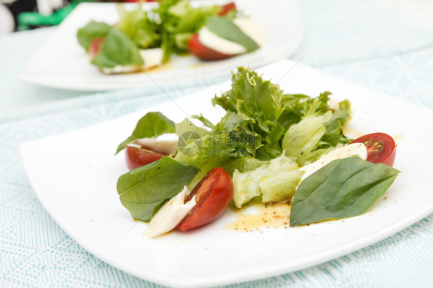 沙拉加马扎里拉 西红柿和巴西尔白色早餐盘子红色食物叶子沙拉青菜小吃午餐图片