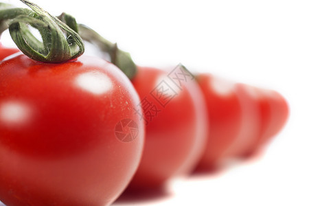 松树上的番茄李子白色蔬菜藤蔓红色背景图片