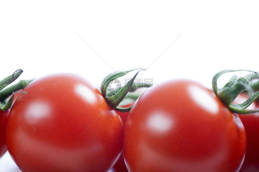 松树上的番茄李子藤蔓白色红色蔬菜图片