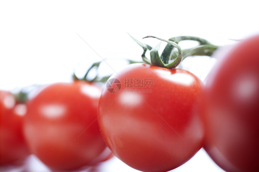 松树上的番茄藤蔓红色蔬菜李子白色图片