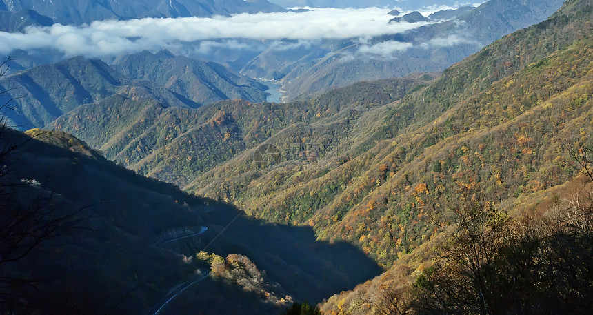 中国湖北盛农家山的美丽秋天风景叶子植被花园橙子场景旅行红色绿色黄色树木图片