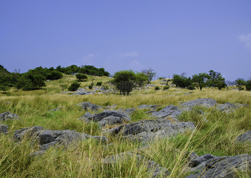 绿色农村地区城市场景季节天气地平线草地蓝色土地场地农场图片