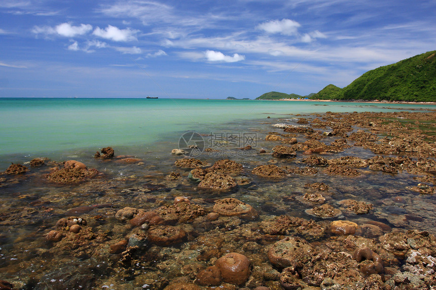 泰拉Tahla沿海低潮期浅水珊瑚浮潜海洋栖息地鹿角海滩钓鱼森林热带潮汐岛屿图片