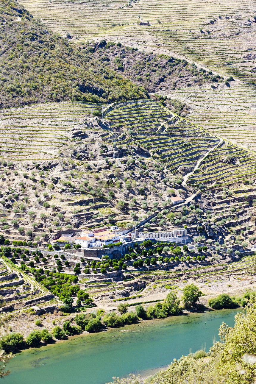 葡萄牙杜罗谷国家乡村农业葡萄酒业风景世界遗产葡萄园栽培农村图片