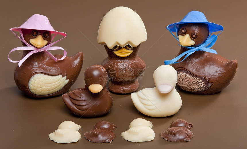 复活节巧克力静物诱惑白色营养棕色食物巧克力图片