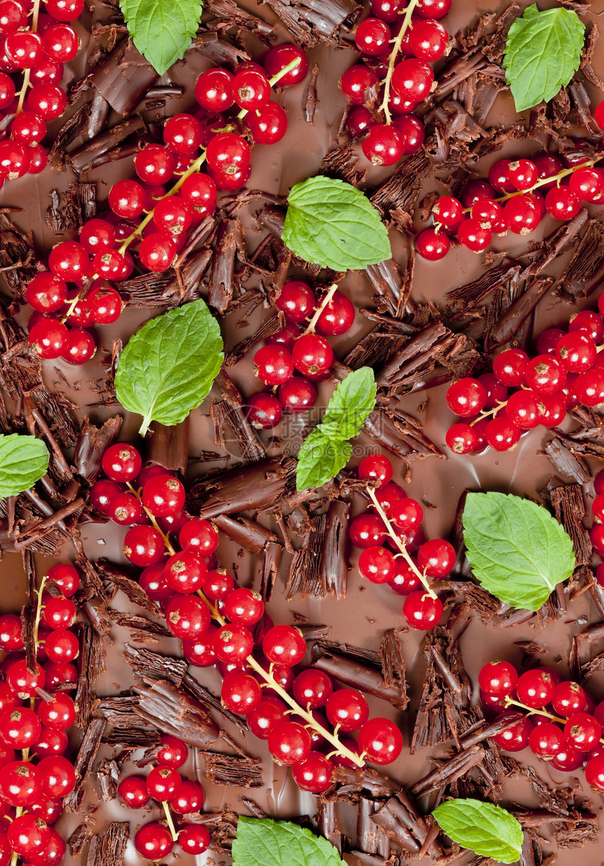 红色卷毛和薄荷巧克力叶子甜点绿色棕色食物醋栗诱惑营养水果糖果图片
