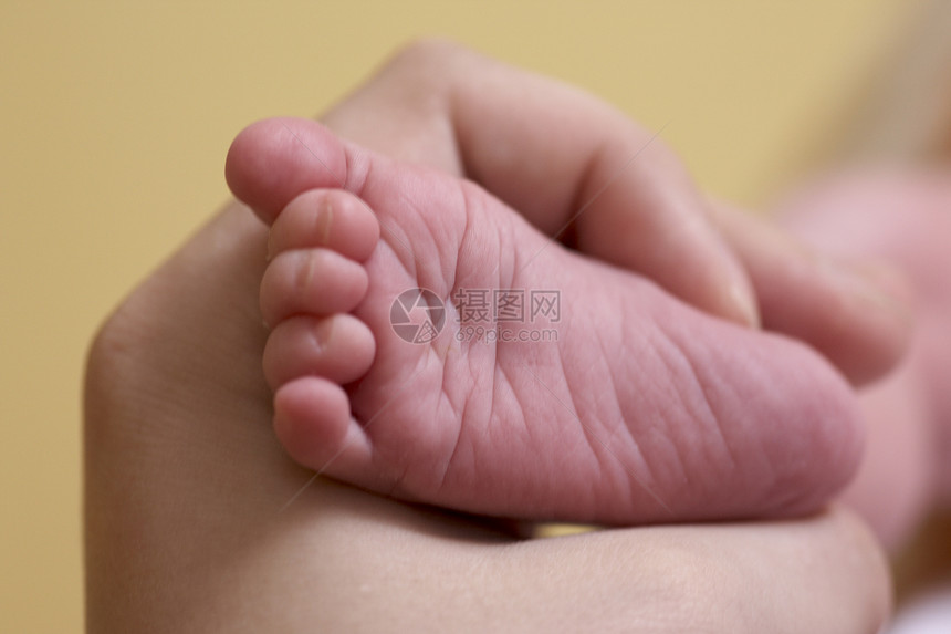 手握着婴儿的脚图片