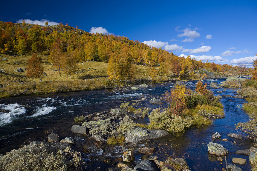 挪威 南韦斯兰德特地貌景观木头世界外观植被风景森林季节植物树木河流图片
