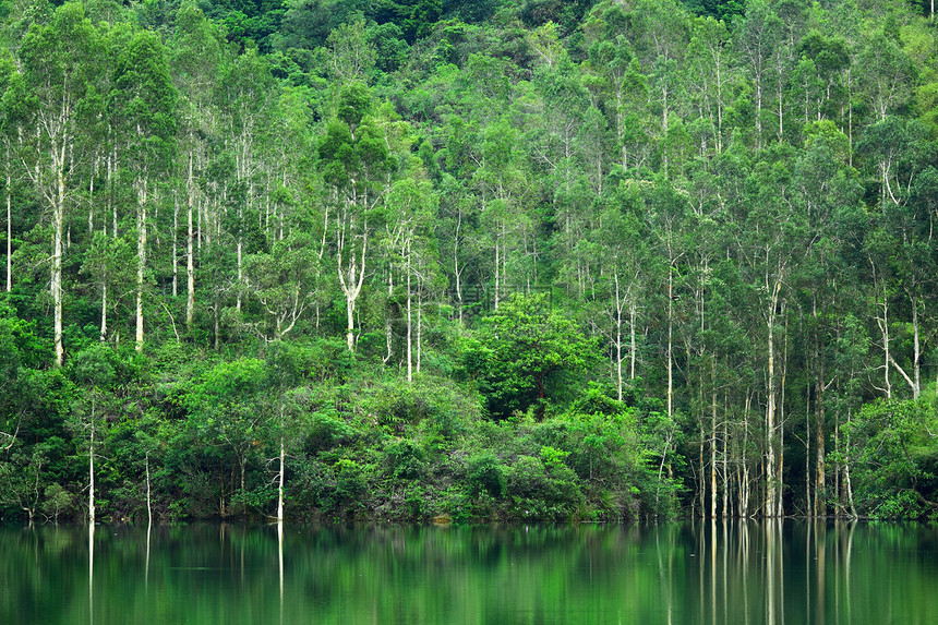 带森林的湖泊环境公园蓝色晴天反射风景荒野生态旅行镜子图片