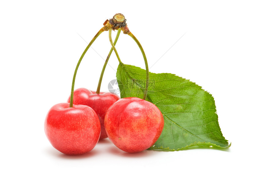 生态樱桃红色甜点水果素食浆果饮食维生素食物农业植物图片