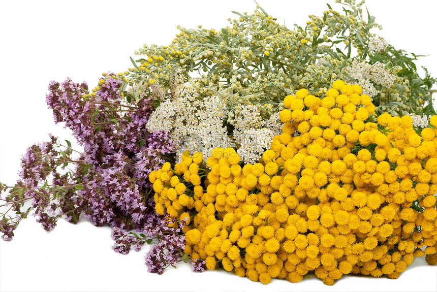 草药黄色叶子百合米箔草本植物药品千叶治疗草本花朵图片