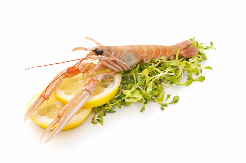 新鲜捕获的海鲜小龙虾食物美食市场用餐警察螃蟹动物营养对虾图片