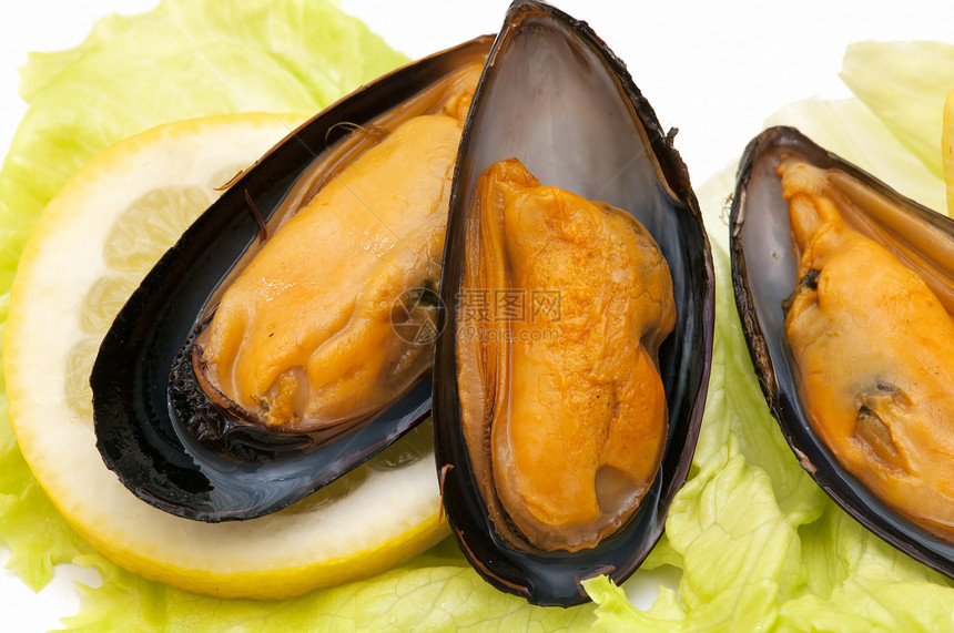 新鲜贝贝熟食食物营养动物商业市场用餐美食图片