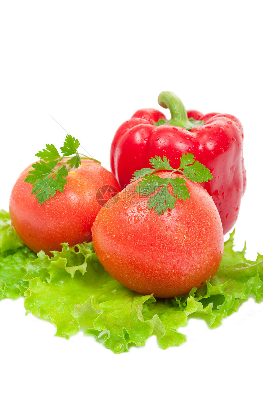番茄和红胡椒沙拉食物香菜白色蔬菜绿色红色图片