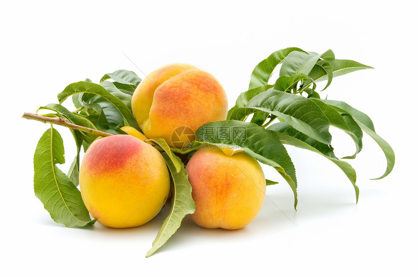 新鲜桃子植物群素食食物水果季节白色维生素植物饮食甜点图片