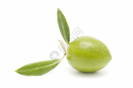 橄榄树叶橄榄橄榄枝水果白色营养绿色饮食背景农业树叶商业背景