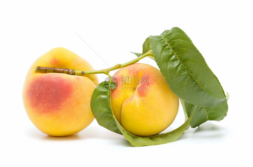 新鲜桃子植物饮食食物水果素食甜点维生素植物群白色季节图片