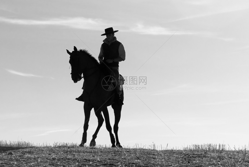 骑马者和他的马尾巴白色哺乳动物舞步黑色野马男性骑师马匹图片