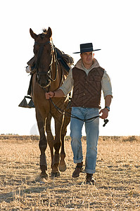 骑马者和他的马尾巴黑色舞步白色哺乳动物马匹野马男性骑师背景图片