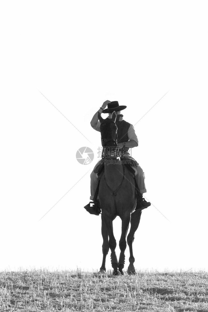 骑马者和他的马男性骑师白色哺乳动物野马马匹舞步黑色尾巴图片