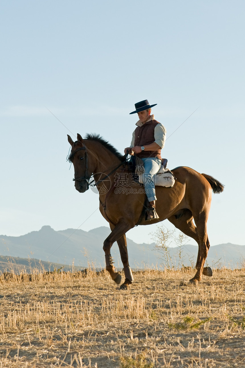 骑马者和他的马野马骑师黑色白色马匹男性舞步尾巴哺乳动物图片