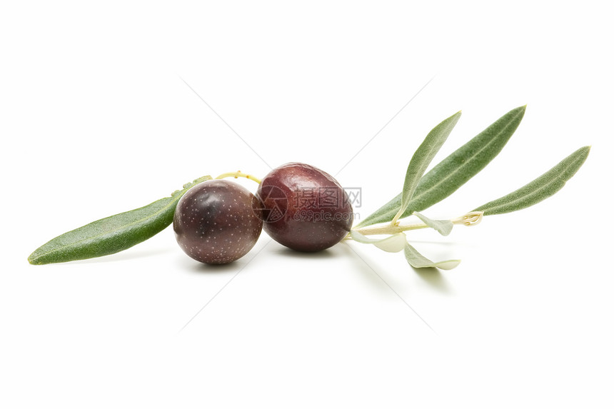橄榄营养水果饮食白色树叶农业绿色背景橄榄枝食物图片