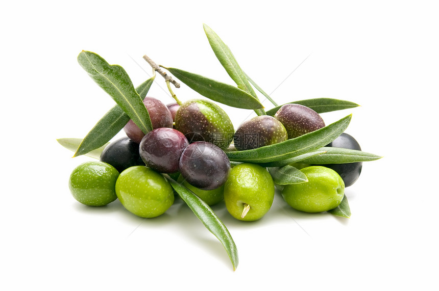 橄榄橄榄枝饮食白色树叶农业绿色水果营养食物商业图片